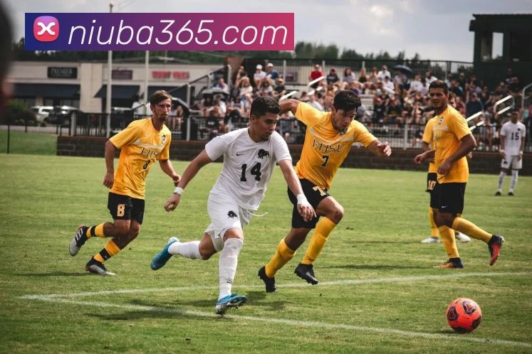 牛八平台生态图